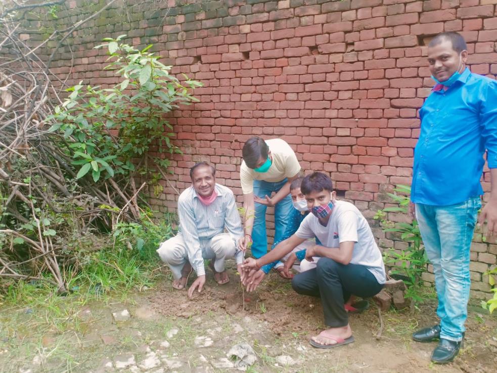 वृक्षारोपण