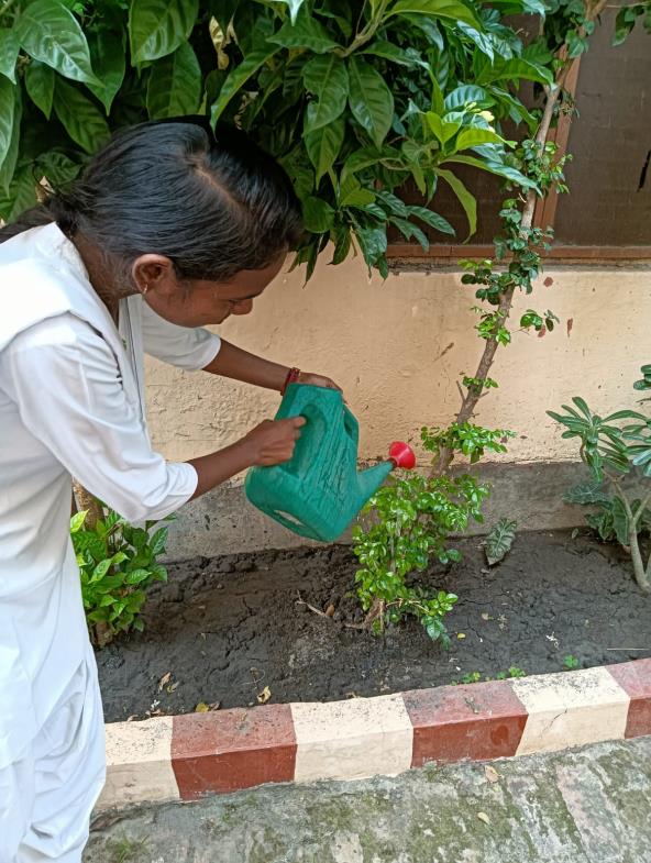 वृक्षारोपण